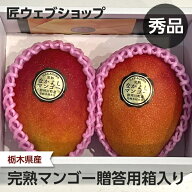 【予約】完熟マンゴー 贈答用箱入り 約650g/約750g 鈴木材木店：マンゴー アップルマンゴー アーウィン …