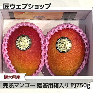 �y�\��z���n�}���S�[ �����p������ ��650g/��750g ��؍ޖؓX�F�}���S�[ �A�b�v���}���S�[ �A�[�E�B�� �����x ���㊮�n �g���s�J���t���[�c �M�t�g ���蕨 �v���[���g ���ϔ� �t���[�c �ʕ� 
