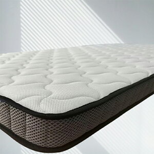 y|Cg10{z}bgXVO ^ dߌł 11cm y mattress  |PbgRC 2ixbh}bgX VXexbh ʎdl ̈U ɑ΍  ʋCϋv ~zc 4D