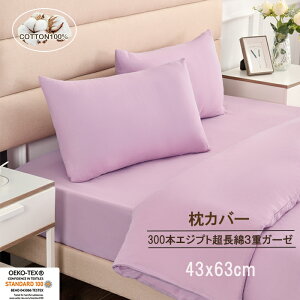 Jo[43x63 K[[ g ~ GWvg 3dK[[ 100 s[P[X ܂Jo[ _炩 _ ʋC   300{xn 1 p[v