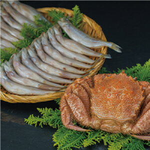 yъIƃVVIzуKj400g×1&Xij×20