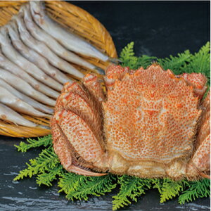 yъIƃVVIz{CуKj600g×1&Xij×10