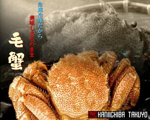 уKĵiI{CуKj@500g@1