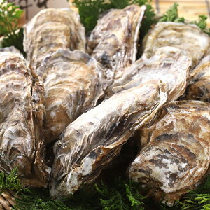 kCPYktJLyTCYz10JLiCtT[rXyyMt_̂zyJLzyzyMtgz