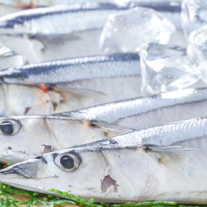 Ⓚܓ4i1pbNjyyMt_̂z