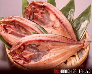 HY@JقyTCYz@3@@yyMt_̂z