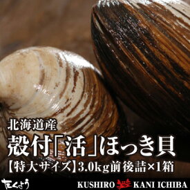 活だから旨さが違う！北海道産殻付「活」ほっき貝【特大サイズ】3.0kg前後詰×1箱