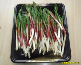 北海道の特産品！幻の山菜！北海道産　天然　行者にんにく急速冷凍！約250g入【楽ギフ_のし】