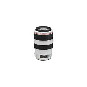 Canon EF�����Y EF70-300mm F4-5.6L IS USM �Y�[�������Y �]��