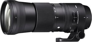 SIGMA 150-600mm F5-6.3 DG OS HSM | Contemporary C015 | Sigma SA}Eg | Full-Size/Large-Format