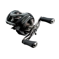楽天市場】ダイワ(DAIWA) バスベイトリール 24STEEZ(スティーズ) SV TW  