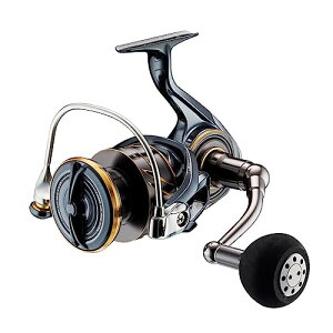 _C(DAIWA) XsjO[ 22CALDIA(JfBA) SW 8000-P