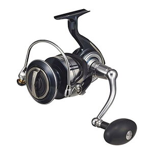 _C(DAIWA) 21 Ze[gSW 14000-XH
