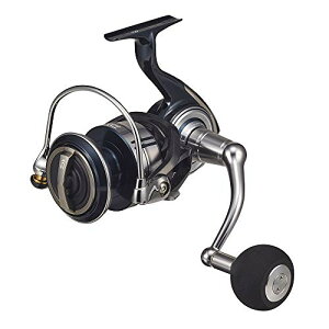 _C(DAIWA) 21 Ze[gSW 10000-P