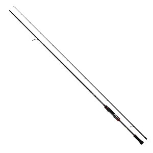 _C(DAIWA) 21 G_X XgCXg RT 76MMH