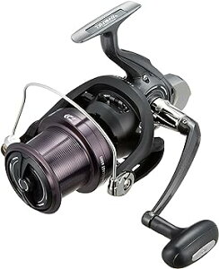 _C(DAIWA) XsjO[( ) 17 NXLXg 4500(2017f)