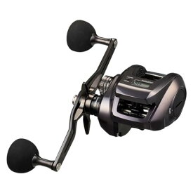 ダイワ(DAIWA) カウンター付きベイトリール 24紅牙 IC 200P