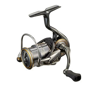 _C(DAIWA) 21 rAX GAeB FC LT1000S-P