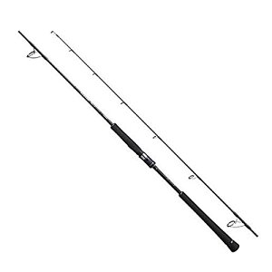 V}m(SHIMANO) WMObh 20 Q[^CvJ XsjO S62-4  PE2O WO:100~160g [20~70m