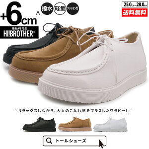 V[NbgV[Y  Xj[J[ g[V[Y 6cm gAbv g グ V[NbgC Y