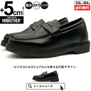 V[NbgV[Y Y [t@[ 5cmUP g[V[Y TALLSHOES V[NbgC wȂC RC[t@[ w V[Nbg[t@[ rWlX ʊw ʋ y ʋC J