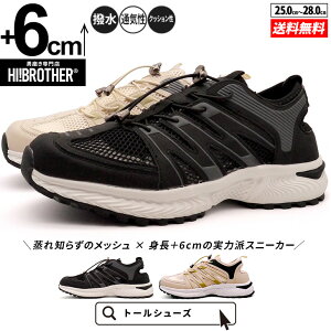 V[NbgV[Y  T_ g[V[Y 6cm gAbv g グ V[NbgC Y