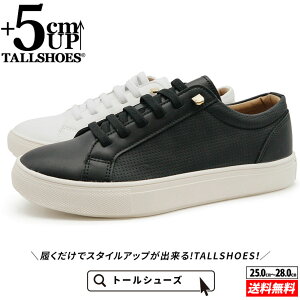 V[NbgV[Y Xj[J[ g[V[Y shoes C YV[Y V[NbgXj[J[ gAbvXj[J[ nCq[ wȂC tallshoes q[AbvXj[J