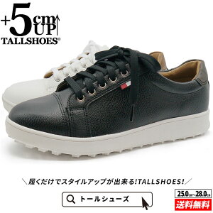 V[NbgV[Y Xj[J[ g[V[Y shoes C YV[Y V[NbgXj[J[ gAbvXj[J[ nCq[ wȂC tallshoes q[AbvXj[J