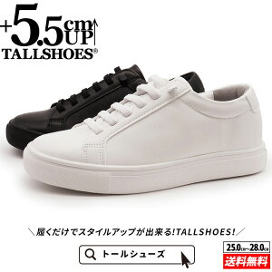 V[NbgV[Y Xj[J[ g[V[Y shoes C YV[Y V[NbgXj[J[ gAbvXj[J[ nCq[ wȂC tallshoes q[AbvXj[J
