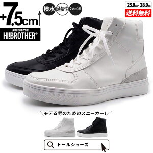 V[NbgV[Y Xj[J[ g[V[Y shoes C YV[Y V[NbgXj[J[ gAbvXj[J[ nCq[ wȂC tallshoes q[AbvXj[J