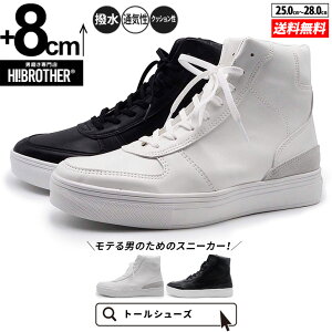 V[NbgV[Y Xj[J[ g[V[Y shoes C YV[Y V[NbgXj[J[ gAbvXj[J[ nCq[ wȂC tallshoes q[AbvXj[J