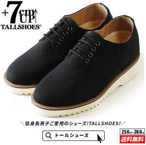 V[NbgV[Y Xj[J[ g[V[Y shoes C YV[Y V[NbgXj[J[ gAbvXj[J[ nCq[ wȂC tallshoes q[AbvXj[J