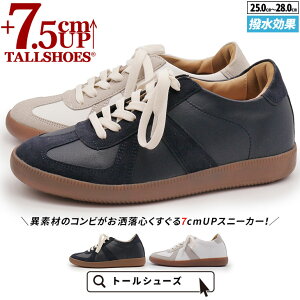 V[NbgV[Y Xj[J[ g[V[Y shoes C YV[Y V[NbgXj[J[ gAbvXj[J[ nCq[ wȂC tallshoes q[AbvXj[J