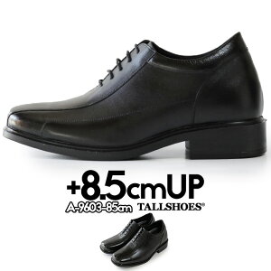 V[NbgV[Y vC g[V[Y shoes C YV[Y rWlXV[Y gAbv 8.5cm rWlXXj[J[ nCq[ wȂC tallshoes q[AbvV[Y C