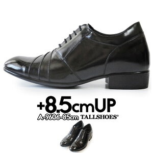 V[NbgV[Y vC g[V[Y shoes C YV[Y rWlXV[Y gAbv 8.5cm rWlXXj[J[ nCq[ wȂC tallshoes q[AbvV[Y C