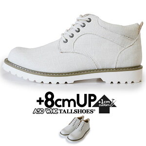 V[NbgV[Y Xj[J[ g[V[Y V[NbgXj[J[ CrWu 8cm グC wȂ gup C g {[ X^CAbv Gx[V