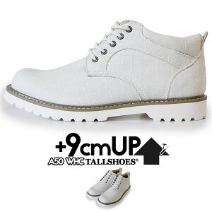 V[NbgV[Y Xj[J[ g[V[Y V[NbgXj[J[ CrWu 9cm グC wȂ gup C g {[ X^CAbv Gx[V