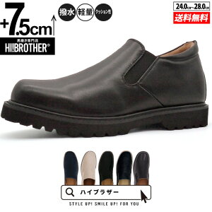 V[NbgV[Y Xj[J[  傫߂̒~ g[V[Y Y V[NbgXj[J[ wȂC C YXj[J[ amC Xj[J[ gAbv q[