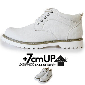 V[NbgV[Y Xj[J[ g[V[Y V[NbgXj[J[ CrWu 7cm グC wȂ gup C g {[ X^CAbv Gx[V