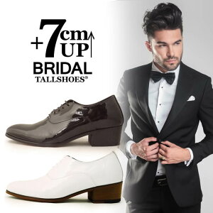 V[NbgV[Y vC g[V[Y shoes C YV[Y rWlXV[Y gAbv 7cm rWlXXj[J[ nCq[ wȂC tallshoes q[AbvV[Y C