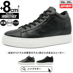 V[NbgV[Y Xj[J[ CrWu g[V[Y 8cm vC C YV[Y V[NbgXj[J[ gAbvXj[J[ wȂC tallshoes q[AbvX