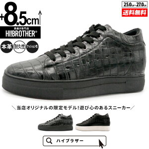 V[NbgV[Y Xj[J[ CrWu g[V[Y 8.5cm vC C YV[Y V[NbgXj[J[ gAbvXj[J[ wȂC tallshoes q[Abv