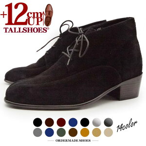 V[NbgV[Y g[V[Y V[Nbgu[c vC C 12cm V[gu[c YV[Y gAbv nCq[ wȂC tallshoes q[Abvu[c u[c 