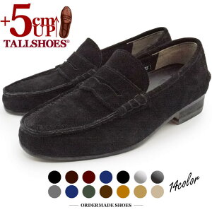 V[NbgV[Y vC g[V[Y C YV[Y 5cm tallshoes [t@[ V[Nbg[t@[ rWlXXj[J[ gAbv nCq[ wȂC グ C