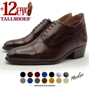 V[NbgV[Y vC g[V[Y shoes C YV[Y rWlXV[Y gAbv 12cm rWlXrWlX V[NbgvC wȂC tallshoes q[AbvV[Y
