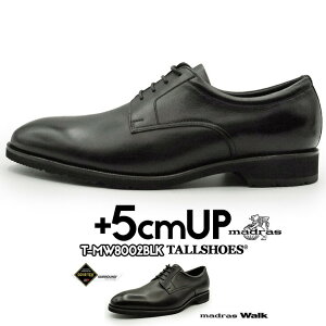 V[NbgV[Y vC }hX shoes C YV[Y rWlXV[Y gAbv 5cm rWlXXj[J[ nCq[ wȂC tallshoes q[AbvV[Y Cq[