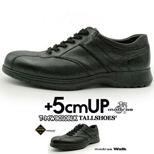  g[V[Y TALLSHOES }hXʒ madras q[AbvV[Y 5cm グC wȂ gup g𐷂 X^CAbv  q[AbvrWlX Cq[ rWlXV