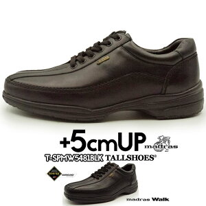 C }hX g[V[Y V[NbgV[Y shoes 5cm グC wȂ shoes グ gAbvV[Y V[Nbg  V[NbgrWlX Cq[ rWlXV[