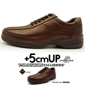 C }hX g[V[Y V[NbgV[Y shoes 5cm グC wȂ shoes グ gAbvV[Y V[Nbg  V[NbgrWlX Cq[ rWlXV[