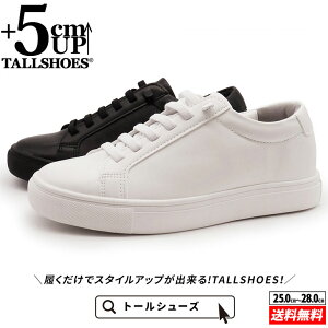 V[NbgV[Y Xj[J[ g[V[Y shoes C YV[Y V[NbgXj[J[ gAbvXj[J[ nCq[ wȂC tallshoes q[AbvXj[J